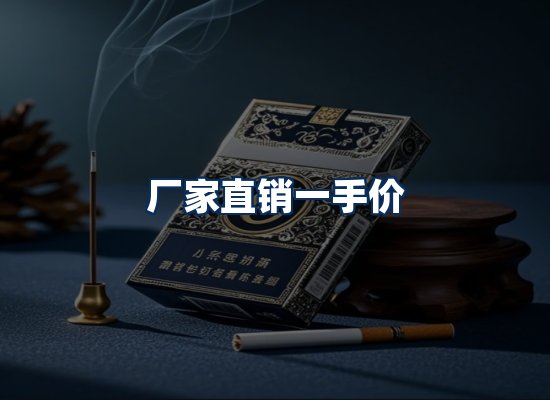 专业团队办公环境